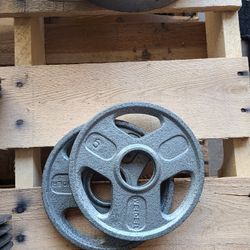 5lbs Plate Weight Set