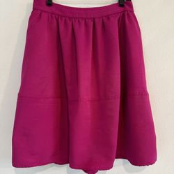 Express  High Waist Full Skirt
