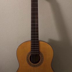 Acoustic Guitar 
