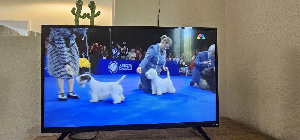 Vizio 39" LED TV + Indoor Antenna – $30