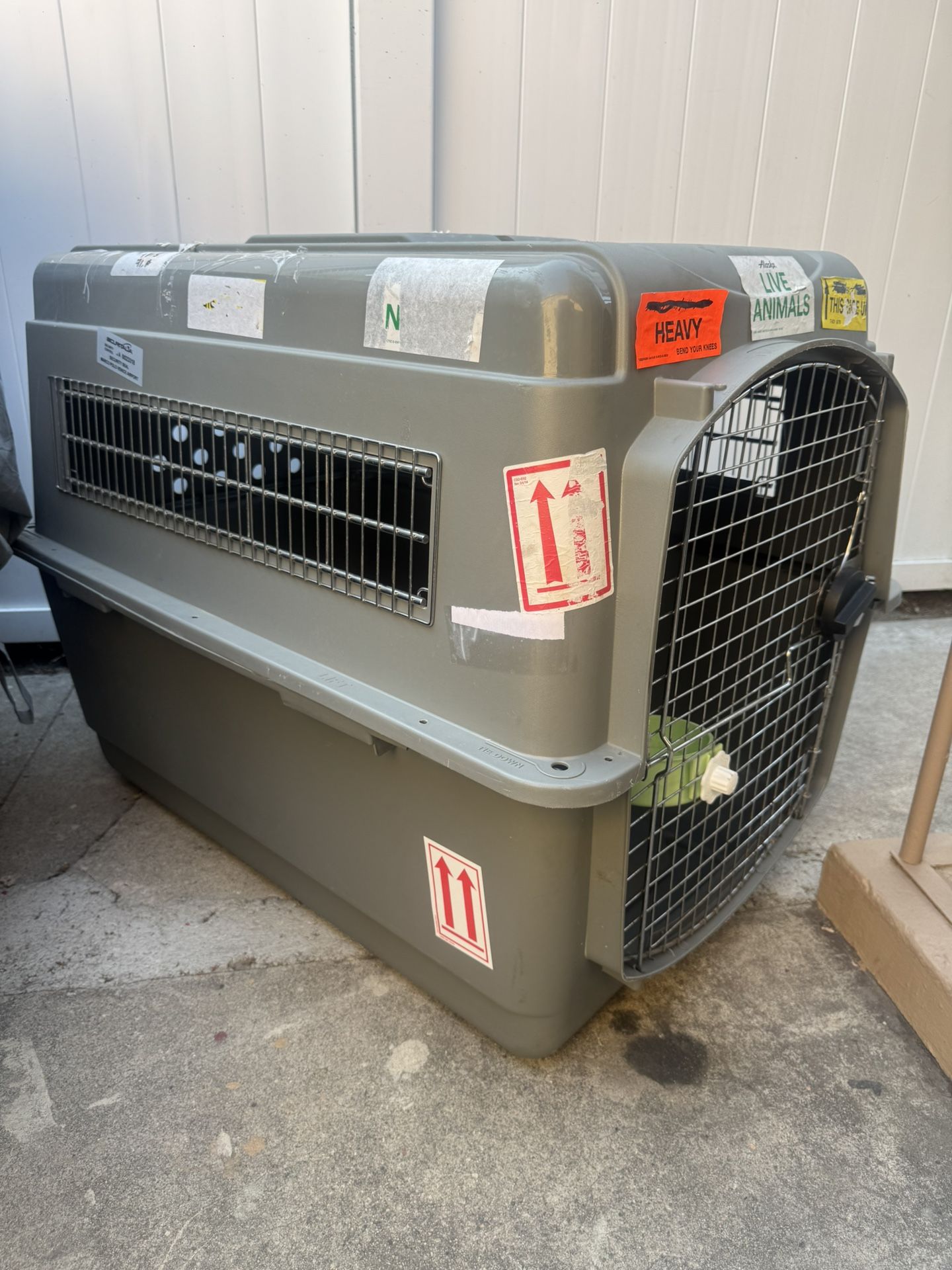 Big Dog Kennel