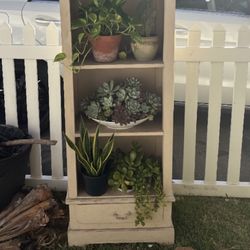 FREE Plant Shelf (Doesn’t Come With Plants)