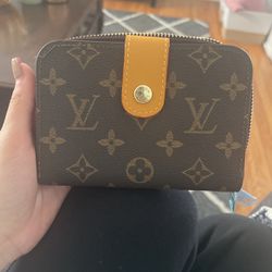 Louis Vuitton Wallet / Mini Purse 