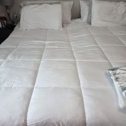 Adjustable Bed Twin Xl with Mattress 