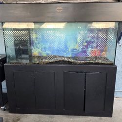 150 gallon tank withstand and canopy/hood
