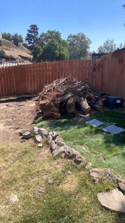 Free fire wood