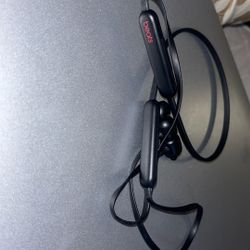Beats Flex All Day Blue Tooth Headphones 
