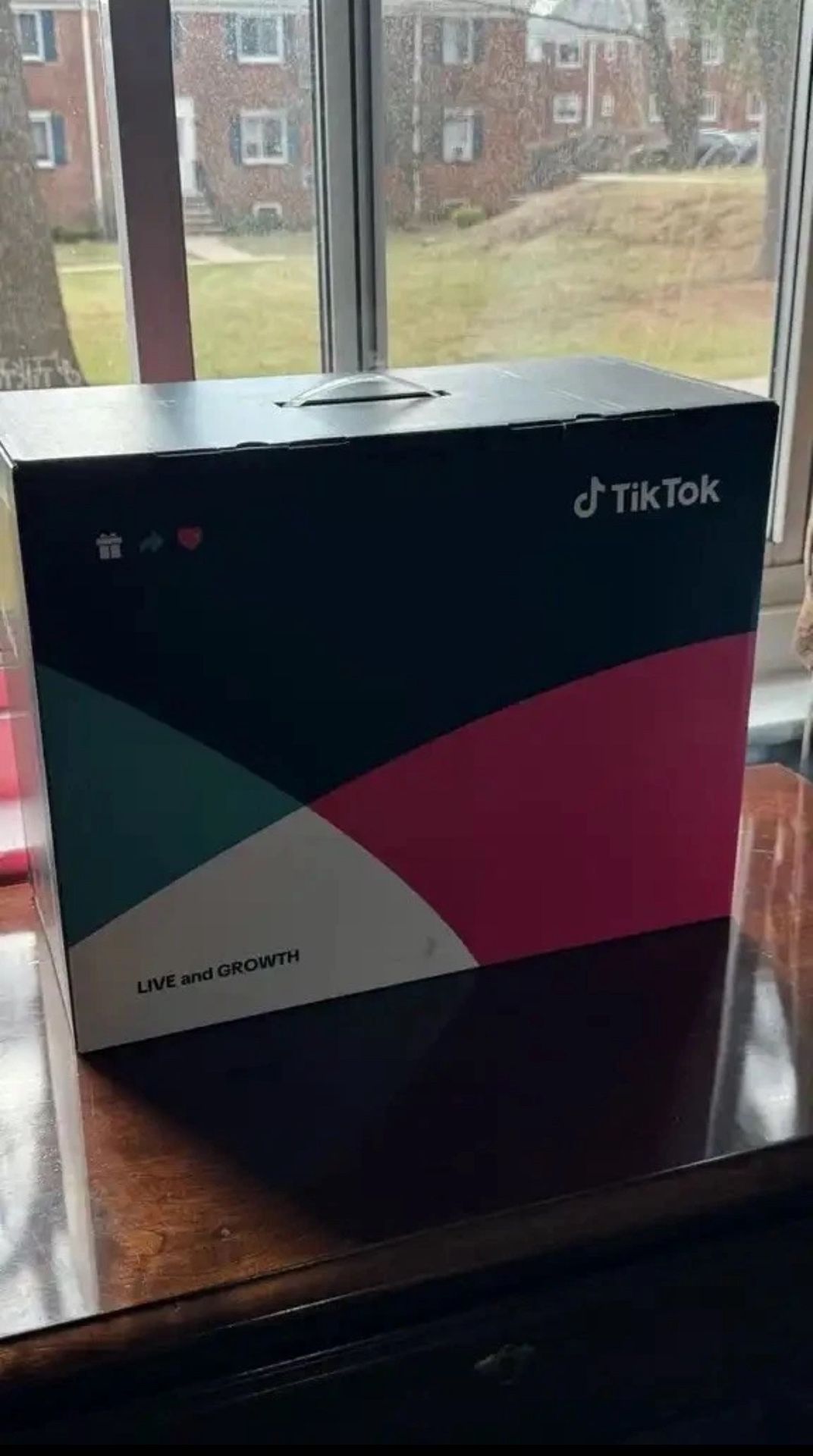 Rare TikTok Holiday Swag Bundle - Exclusive & Brand New!