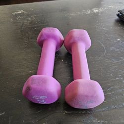 3 Lb Dumbells