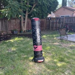 Standing Punching Bag