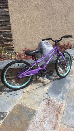 Guardian bike 20”