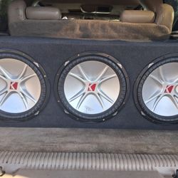 3 15 Speaker Box