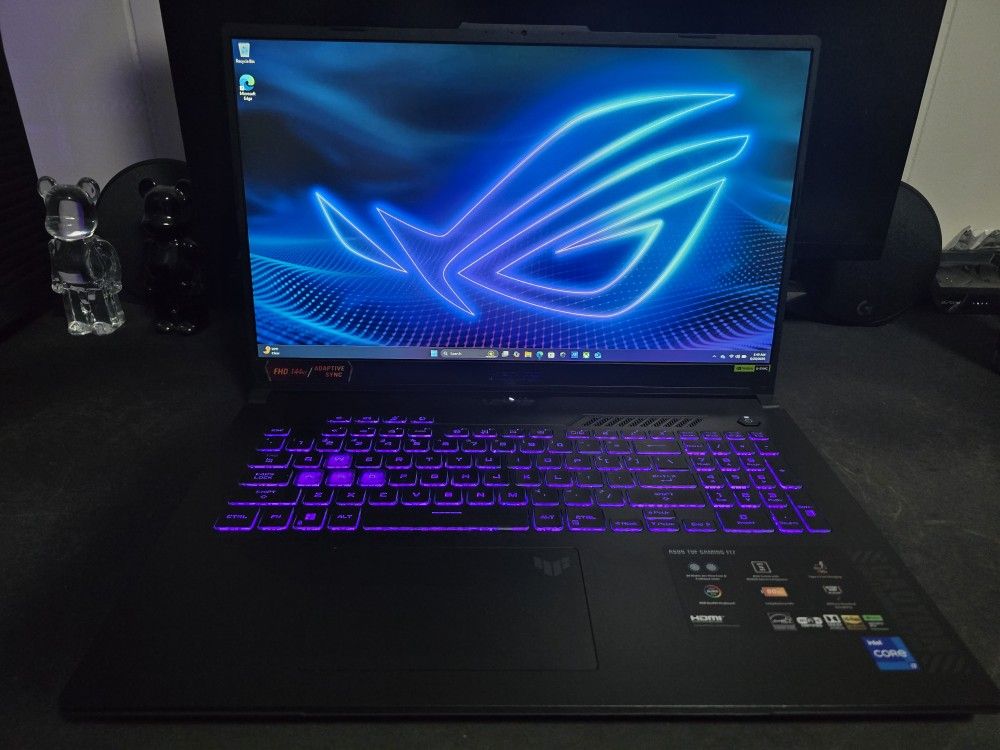 17" Asus RTX 4060 Intel Core i7-13700H gaming laptop