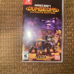 Minecraft “Dungeons”