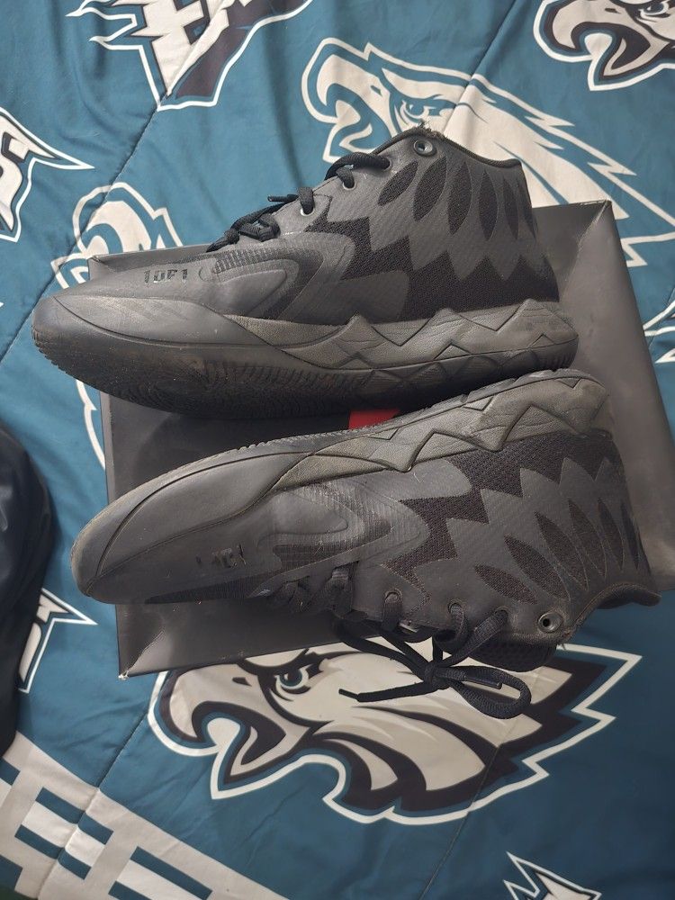Puma LaMelos