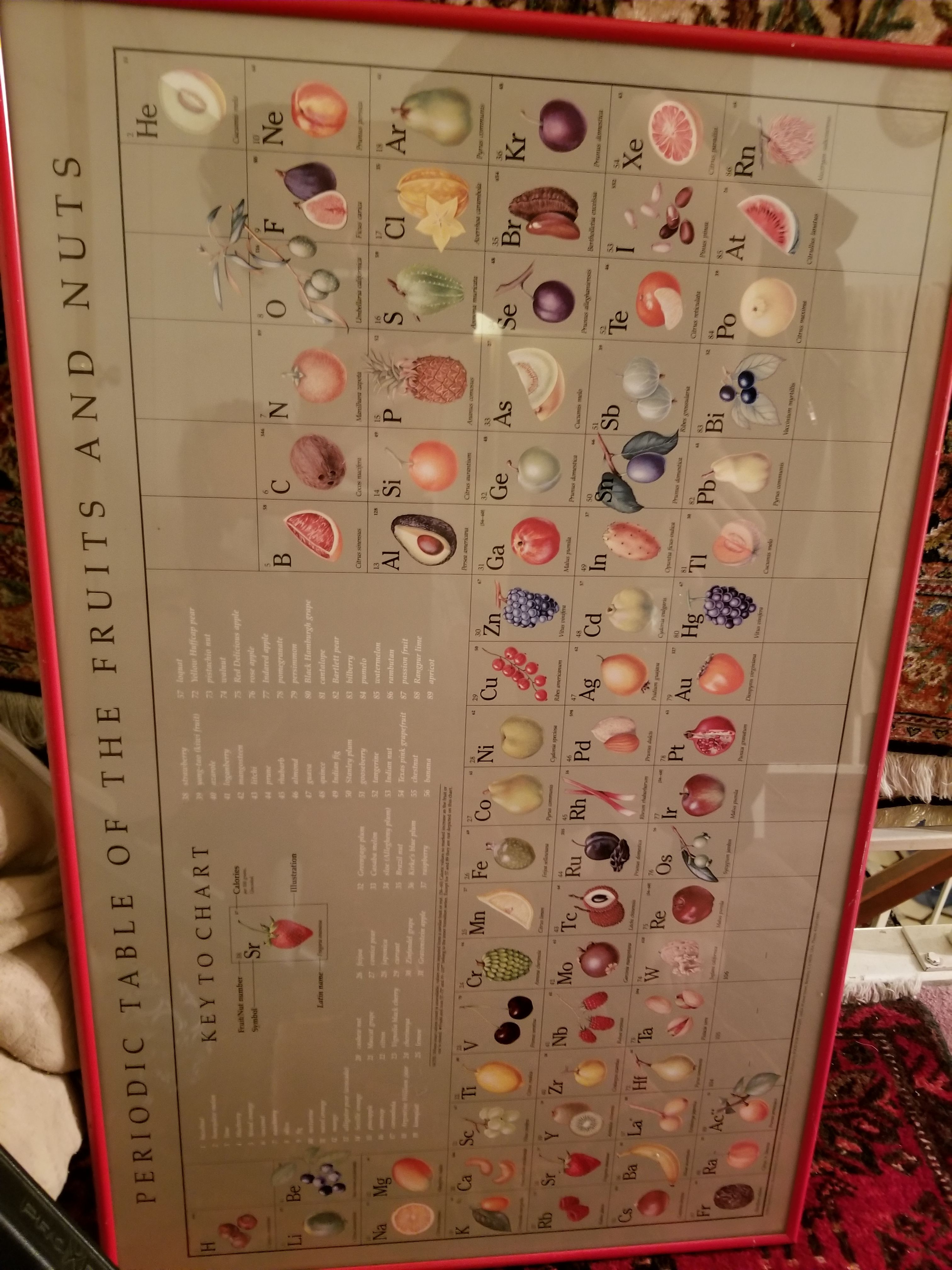 Periodic table of fruits and nuts