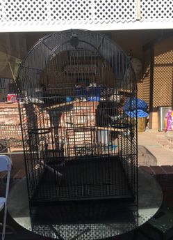Bird cage