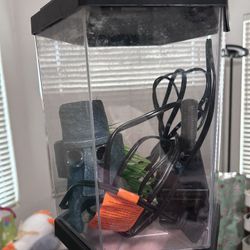 Fish Tank & Accessories