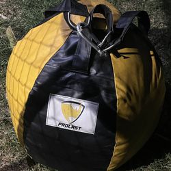 Pro Lift Punching Bag 