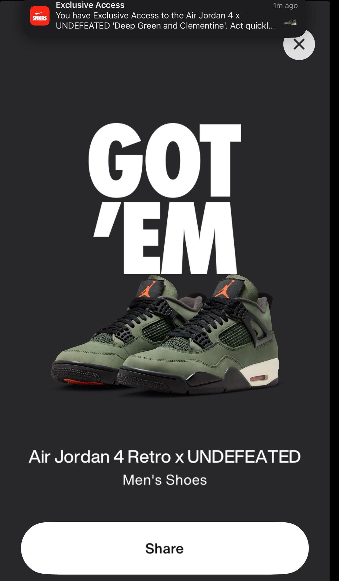 Air Jordan 4 Undefeated Size 14 New