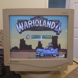 Pc Crt Monitor 17" Shamrock Vga