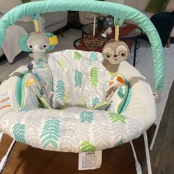 Baby Bouncer 
