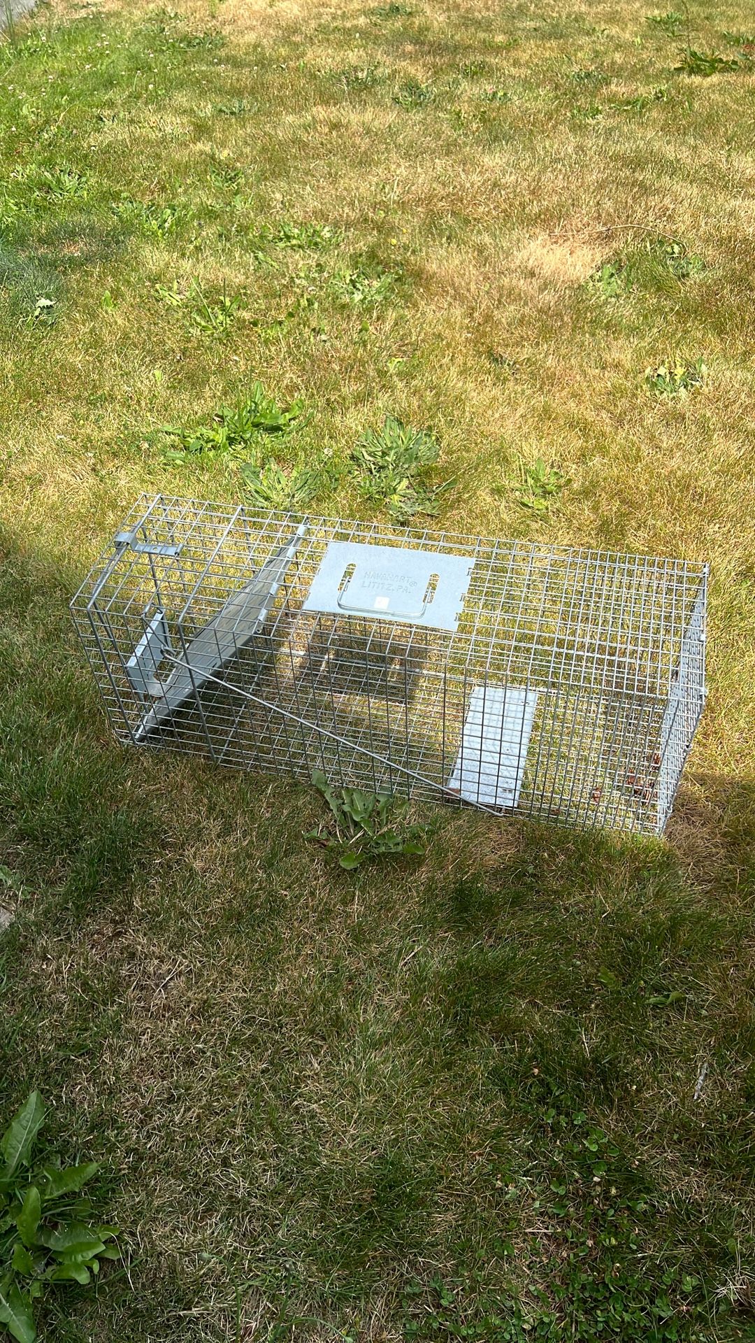Havahart Live Trap (humane)