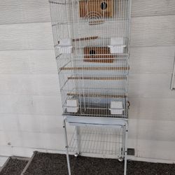 Bird Cage