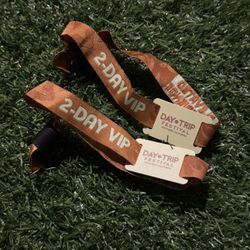 Day Trip VIP