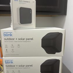 Blink - solar and Sync Module2