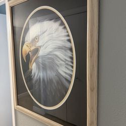 Large Eagle Photo 