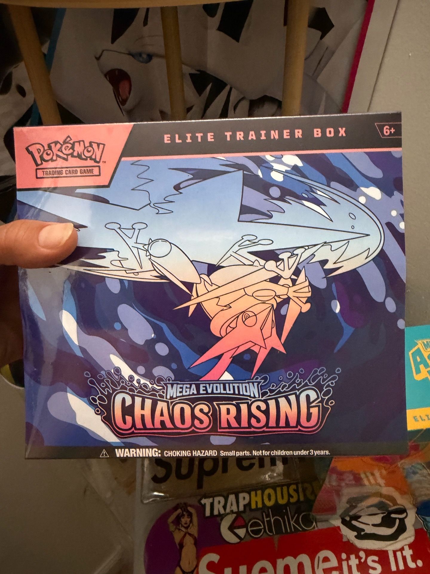 Pokemon chaos rising ETB