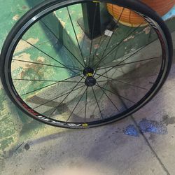 Mavic