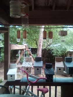 Carpenter bee traps