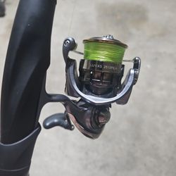 13 Fishing Rod