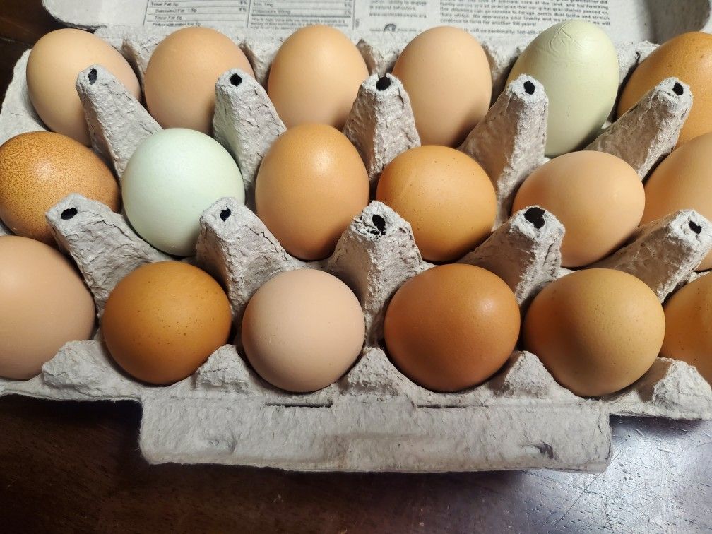Farm Fresh Free Range Chicken Eggs