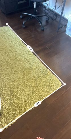 2 Fluffy Shag Area Rugs – Light Green – $40 for Both