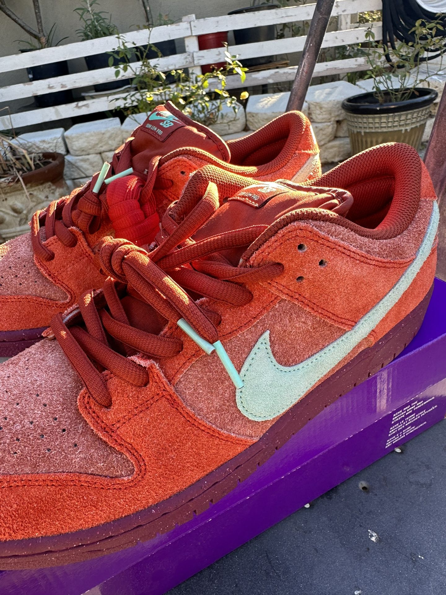 Nike Dunk SB Mystic Red Size 13