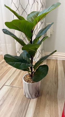 Beautiful Plastic Planter – Medium Size