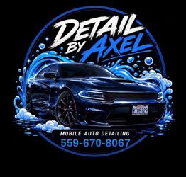 Car detailer in the 559