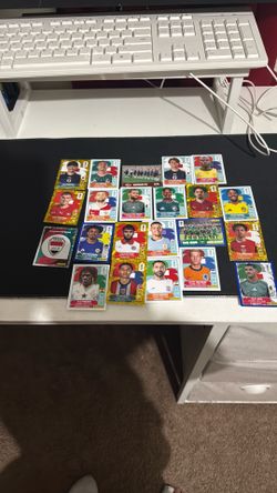Panini stickers