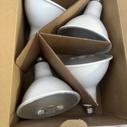 Bright White LED Light Bulbs