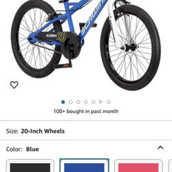 BMX Style Kids Bike 