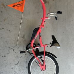 WeeRide Kids Bike Trailer