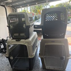 Pet Cages for Dogs