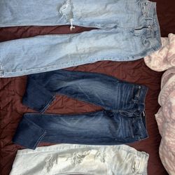 Assorted Jean Collection 