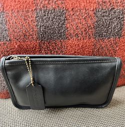 Coach Multipurpose/Cosmetic ChunkyZip Cash