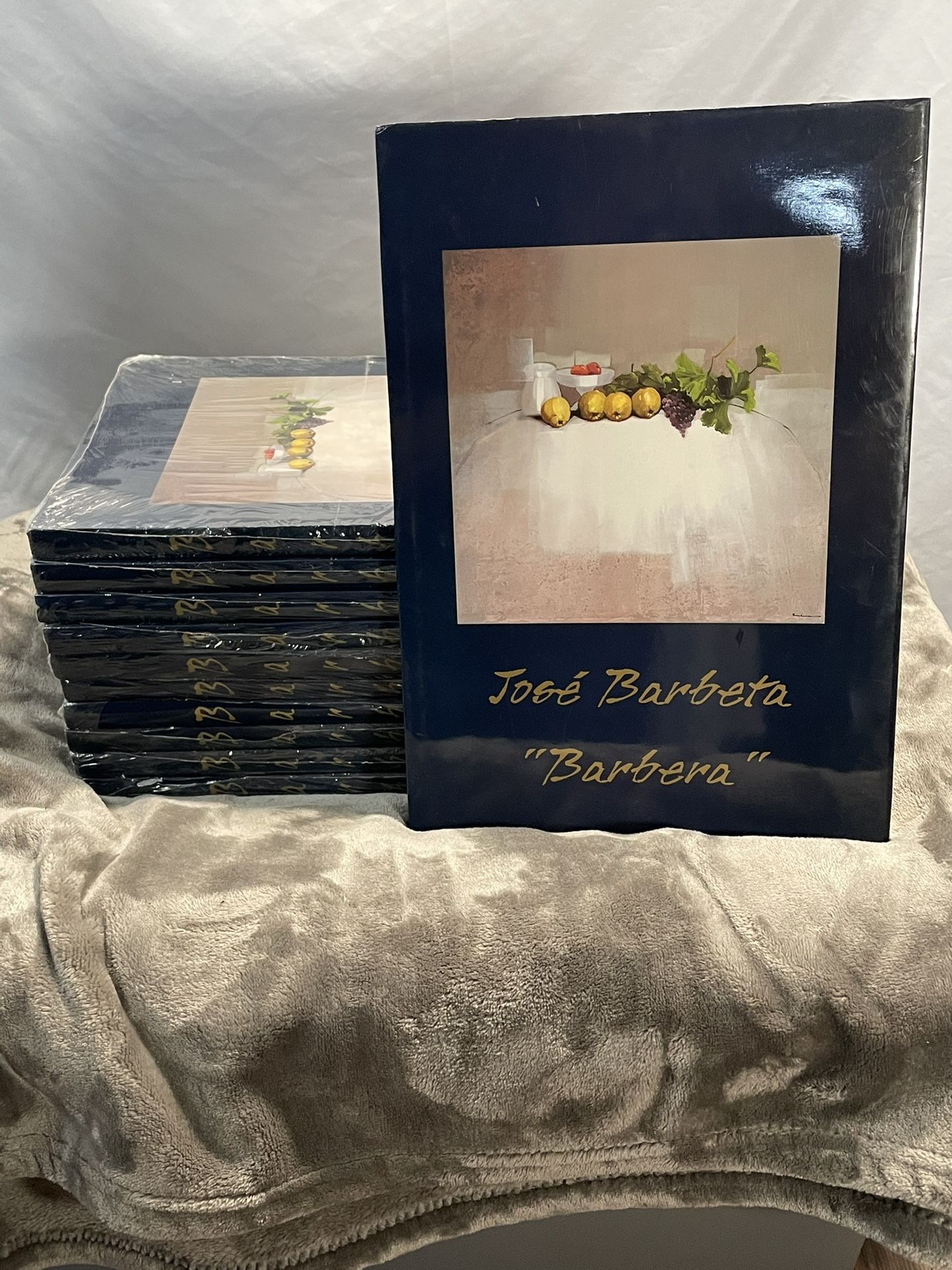 Coffee Table Art Books - Jose Barbeta Art. Brand New 10 Sealed Books.