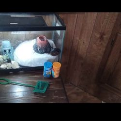 Fish Tank With Accessories An Half Top Cover