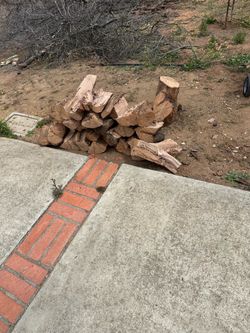 Oak firewood